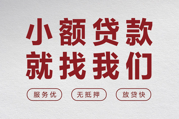 苏州私借小额贷款不查征信